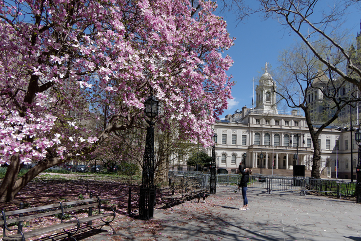 Photo: Carl Glassman/Tribeca Trib